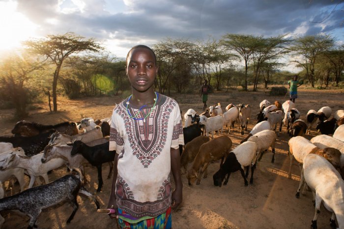 Lchekutis, Maasai Child Shepherds